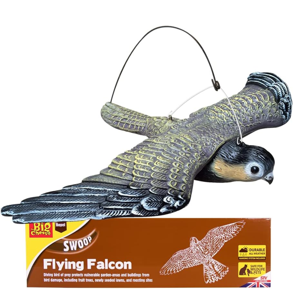 The Big Cheese Flying Falcon with Sprung Hanging System Realistic Decoy Deterrent, Scares Birds From Gardens, Boats, and Buildings