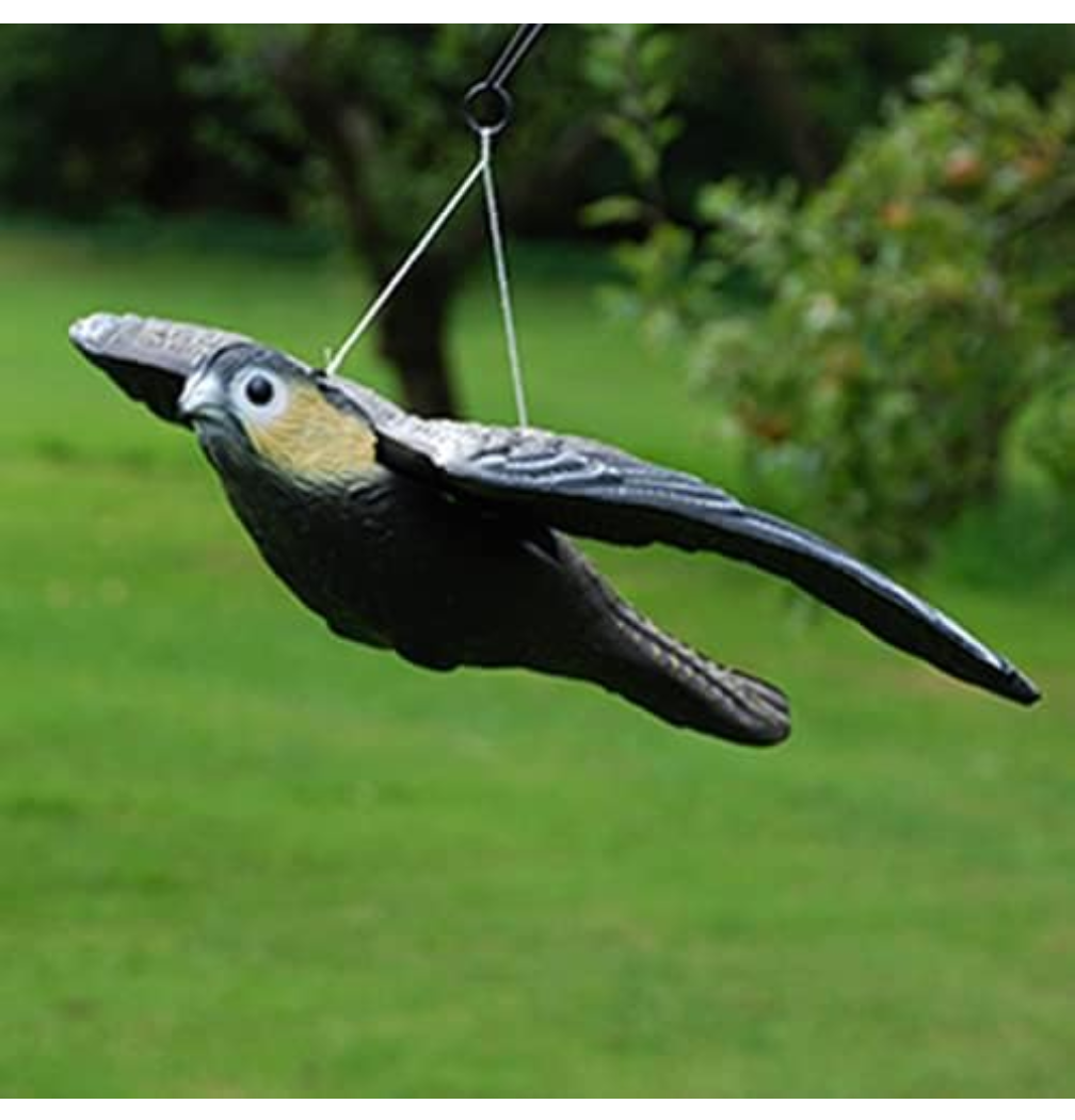 The Big Cheese Flying Falcon with Sprung Hanging System Realistic Decoy Deterrent, Scares Birds From Gardens, Boats, and Buildings